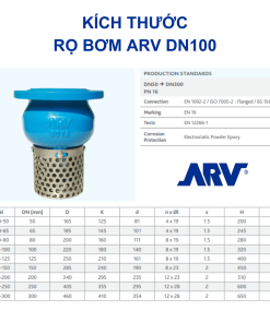 Kích thước Rọ bơm ARV DN100