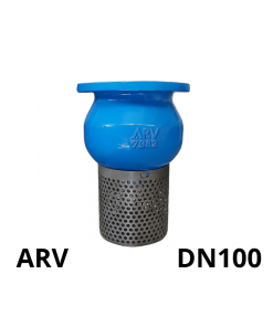Rọ bơm ARV DN100